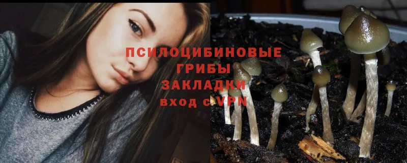 Псилоцибиновые грибы Psilocybine cubensis  гидра маркетплейс  Касимов  наркошоп 